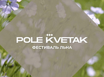 Фестиваль "Поле Кветак"